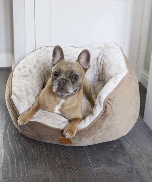 Dog butterfly bed