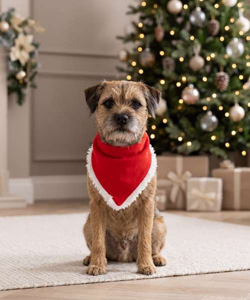 Dog’s Christmas bandana